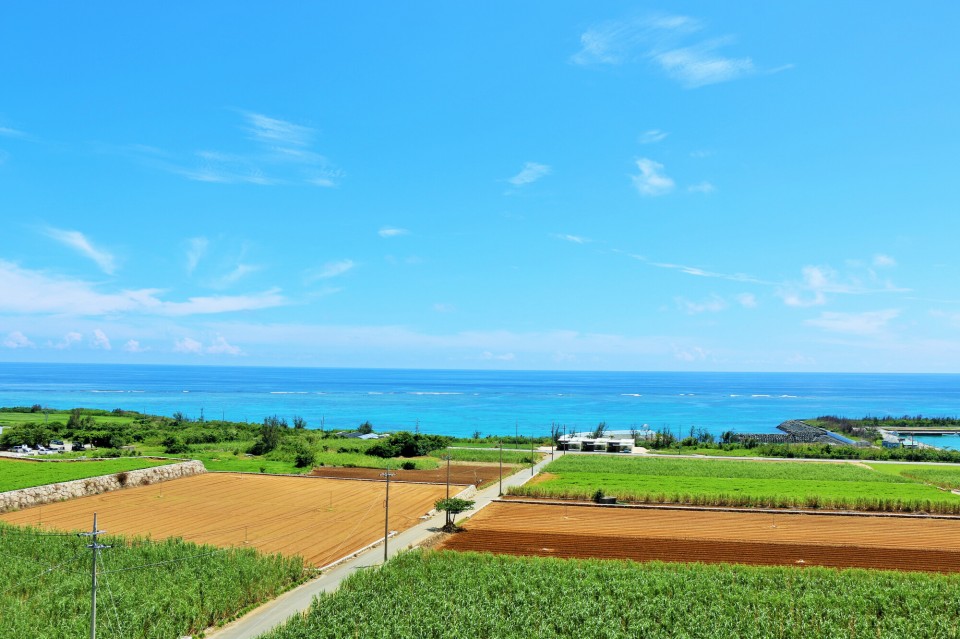 pixta_98014068_M-960x639